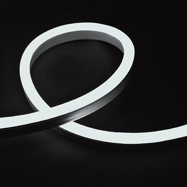 Neon Flex LED 12w/mt 24Vdc IP65 20 Lumen/mt Taglio 1mt Luce Fredda